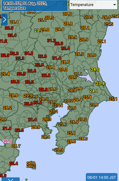 Temperature 2pm Kanto
