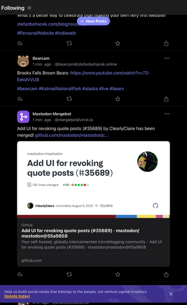 A screenshot of the official iPad mastodon TestFlight app. At the bottom, a small overlay asks for the user to consider contributing. It’s dismissable. 