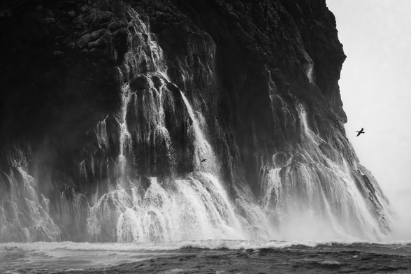 Streaming cliffsides during high surf, birds