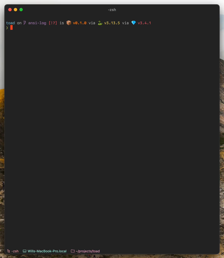 Output of the app I am working on. Toad is a universal front end to AI for the terminal.