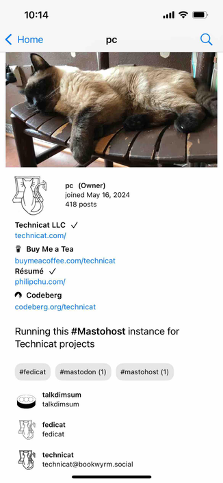screenshot pf a profile showing featured accounts under the featured tags