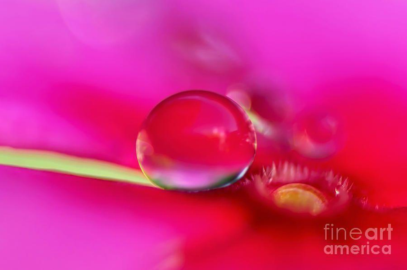 A tiny hot pink / red water droplet resting on a tiny pink pansy. The droplet looks as if it is almost ready to roll into the small stamen of the pansy.

By Kaye Menner Photography

https://kaye-menner.pixels.com/featured/just-resting-on-a-pansy-kaye-menner.html

THE FINE ART AMERICA LOGO WILL NOT APPEAR ON PURCHASED PRINTS OR PRODUCTS.
