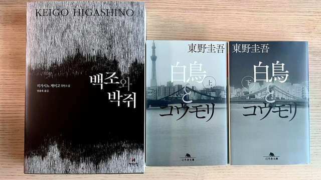 Three books on a wooden table, cover facing the camera. On the left, a big format softcover book in Korean with a black and white abstract design on the cover. On the right, vol. 1 and 2 of the same book in Japanese.  The books are a softcover small format with a city outline seen across a river on the covers, also black and white. 