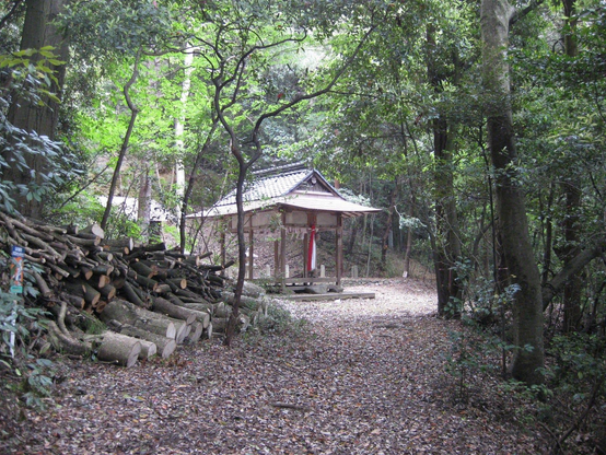 Small shrine in the woods close to Yusen-ji.