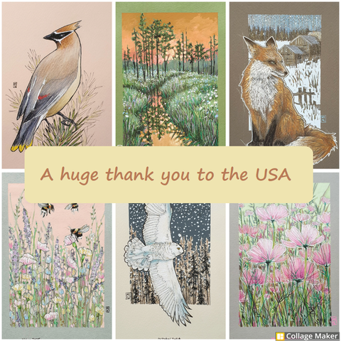 A photo collage of some of my artwork that has been sold to the US:  A cedar waxwing bird, a landscape with trees and reflections in orange and green, a red fox, bees and flowers, a snowy owl in flight and pink cosmos flowers. 