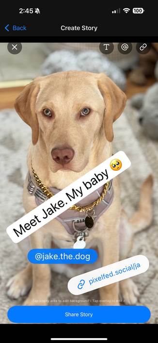 Pixelfed Stories Composer