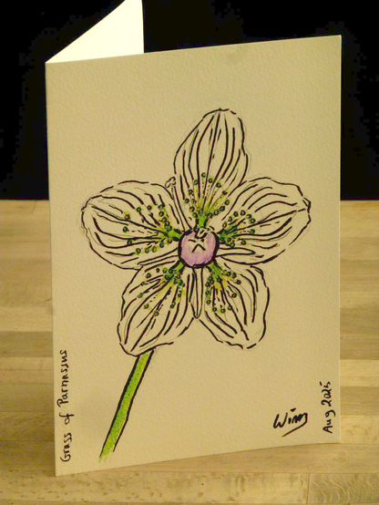 A card made of a sheet of A4 watercolour paper folded in half, set upright on a wooden table. It shows a large ink drawing of a flower with five veined petals, with a purple heart and green accents in watercolour.