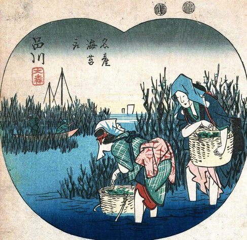 Woodblock print of women wading in the sea and collecting seaweed.

Photo thanks - https://ja.ukiyo-e.org/
