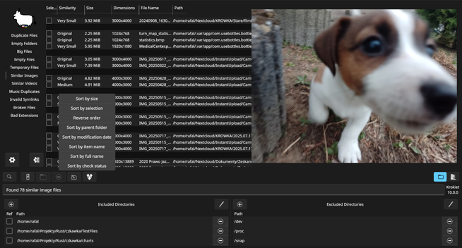 Screenshot of Krokiet 10.0