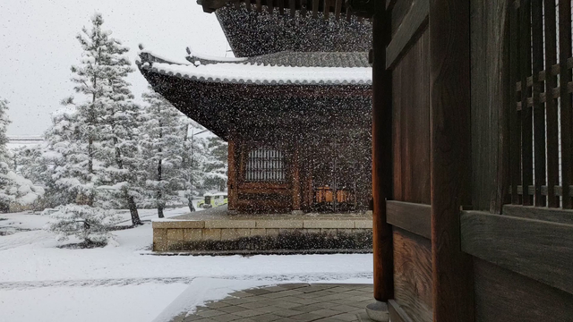 Snow falls in the grounds of Myoshin-ji.