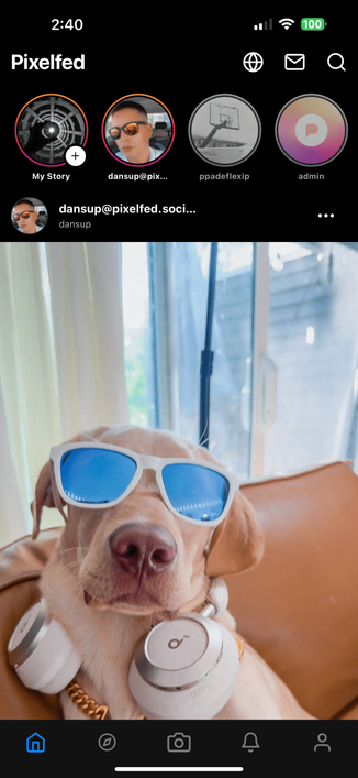 Pixelfed Stories on our official app with the story carousel having 4 stories, My Story, dansup@pixelfed.social and two others which have a reduced opacity to indicate they have been already viewed.