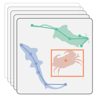 Logo of the "Animals in Motion" course, showing silhouettes of a mouse, a crab and a shark, with keypoints overlaid on the animal shapes. 