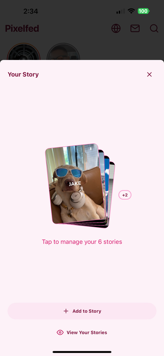 Pixelfed app showing the Your Story modal with the hot pink theme and 6 active stories