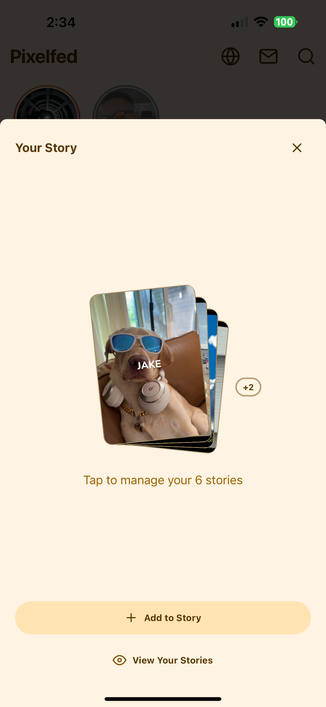 Pixelfed app showing the Your Story modal with the honey theme and 6 active stories