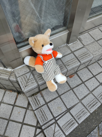 こんのぬいぐるみ発見時