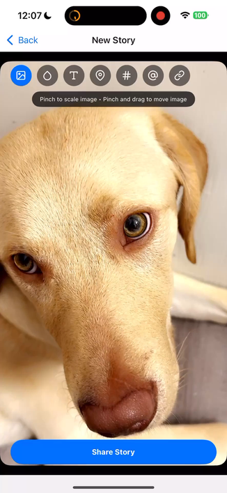 Pixelfed Story Composer demo