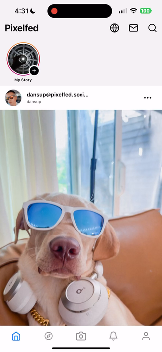 Pixelfed Stories Demo