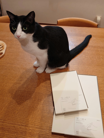 しろくろハチワレくんのチェックが入りました。問題ないようです。ほっ。