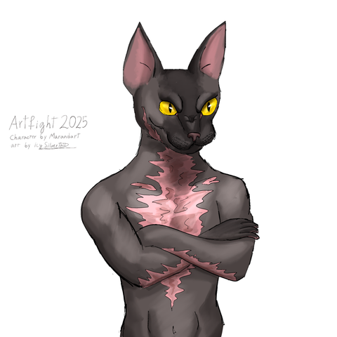 Digital drawing of a half body of a grey man with cat face, similar to a sphynx cat, with yellow eyes and their arms closed, their chest and neck are full of scars.