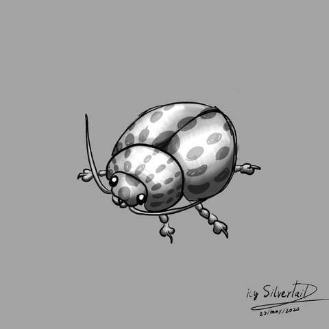 Black and white digital drawing of a beetle.