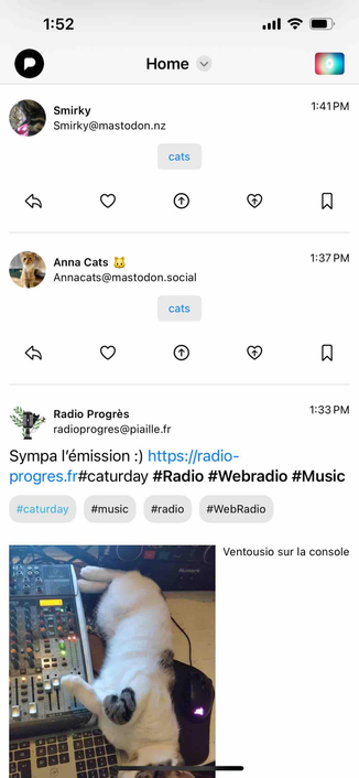 screenshot of timeline with posts hidden by a button labeled cat