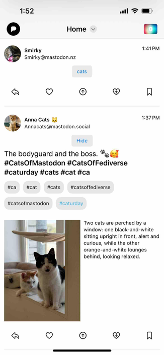 one of the posts now with revealed content and with a hide button replacing the cat button