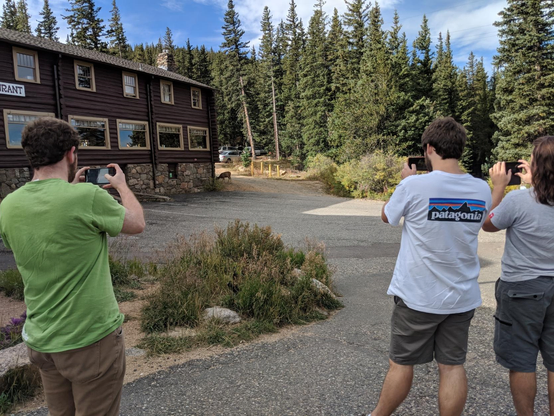 Three people taking photos of a deer at a visitor center, surrounded by tall evergreen trees