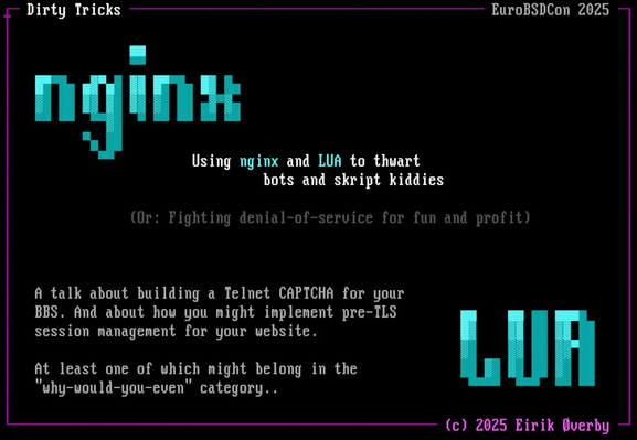 Introduction screen from my talk, presented in ANSI art. The words "nginx" and "LUA" in large ANSI fonts in the top left and bottom right corners, with some of the text from the talk description (linked in the post) in the middle.