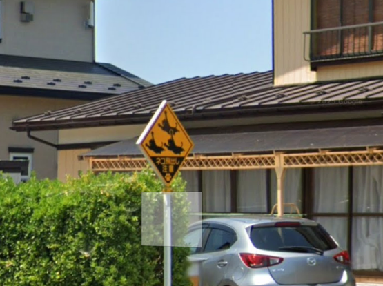 Sign with flying cats in Japan