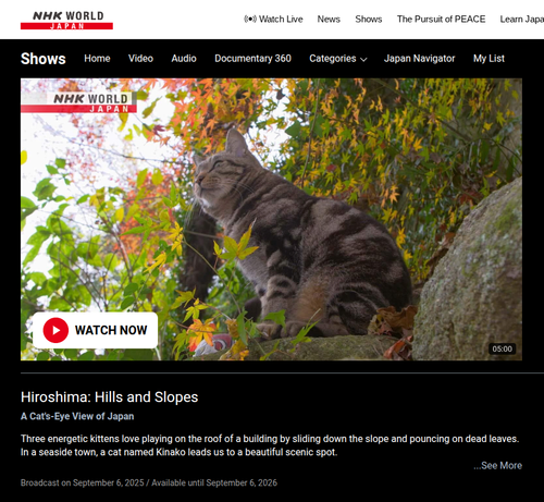 An image of a cat surrounded by trees beginning to turn with the season. The text reads: "Hiroshima: Hills and Slopes", "A Cat's-Eye View of Japan"