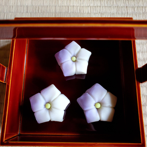 Sweets inspired by Japanese bellflowers.