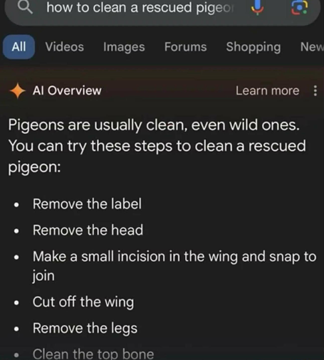 Text reads: Google search bar: “how to clean a rescued pigeon” 

Al Overview Pigeons are usually clean, even wild ones. You can try these steps to clean a rescued pigeon:

 • Remove the label

 • Remove the head

 • Make a small incision in the wing and snap to join

 •Cut off the wing

 •Remove the legs

 • Clean the top bone
