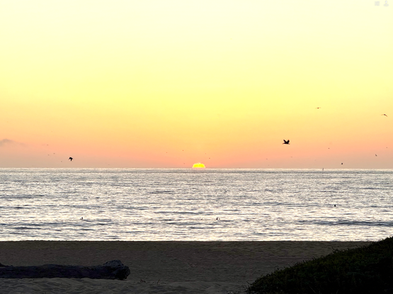 The tail end of an open beach sunset