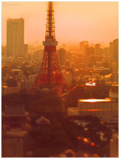he Tokyo Tower on a sunny day in 2017, photographed from the old World Trade Centre building in Hamamatsucho. We see Zojoji shrine in the left foreground, surrounded by trees. It's all rendered out of focus by the thin plane of focus created by the titl-shift lens setup used to make this photograph. The sun is setting. Warm light pervades the scene, reflecting brightly in places from several other buildings in the area. A haze is in the sky, filtering the sunlight. 