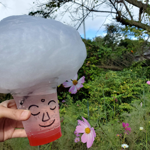 A soda inspired by Nara's Great Buddha (big candy floss hair!).