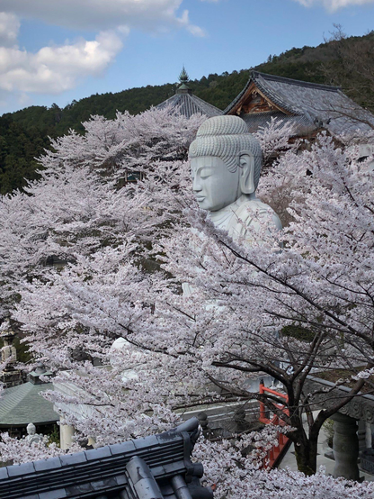 Jurakuen Daibutsu, Tsubosaka-ji, #Japan.
#BuddhistArt #Buddhism