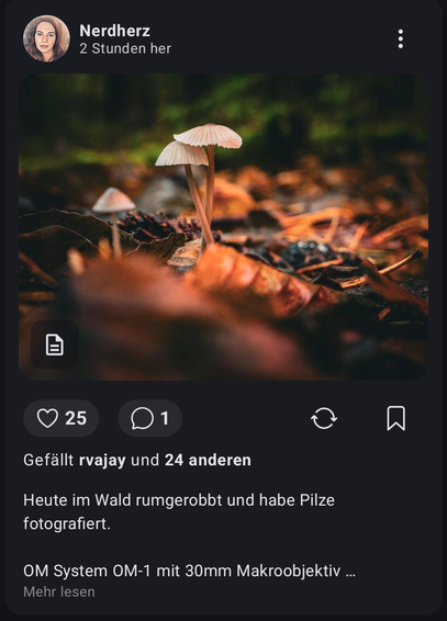 Screenshot Pixelfed
Pilzfoto
25 Likes, 1 Kommentar