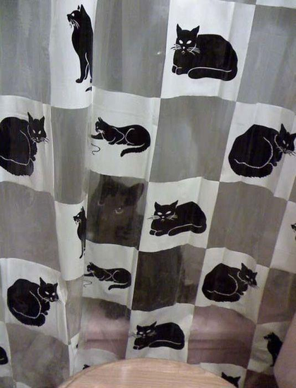 A shower curtain featuring a black and white checkered pattern with images of black cats in various poses. Behind the curtain, a real black cat is partially visible, blending in with the printed cat designs. The curtain creates an intriguing illusion as the real cat's eyes peek through.