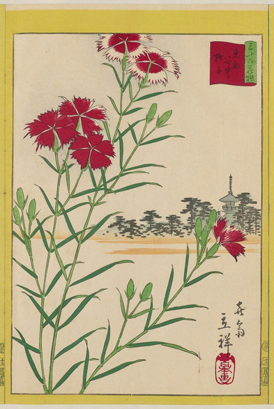 Woodblock print of nadeshiko blooming, with a temple pagoda in the background.

Image thanks - https://ja.ukiyo-e.org/