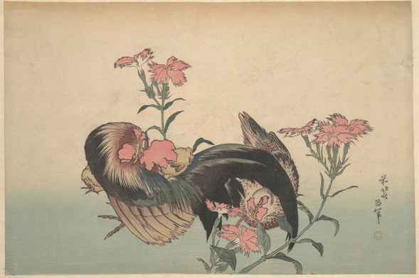 Woodblock print of nadeshiko, a rooster and a hen.

Image thanks - https://ja.ukiyo-e.org/