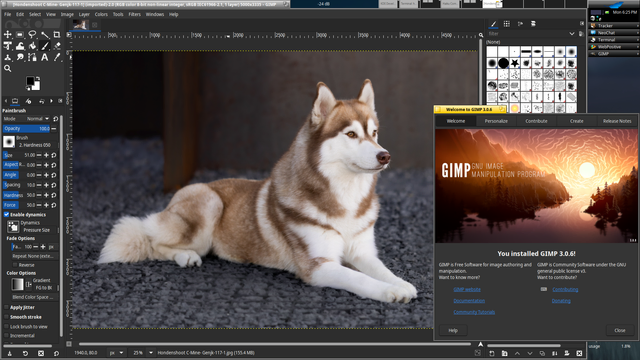 Latest GIMP 3.0.6 running on Haiku R1B5 64bit.