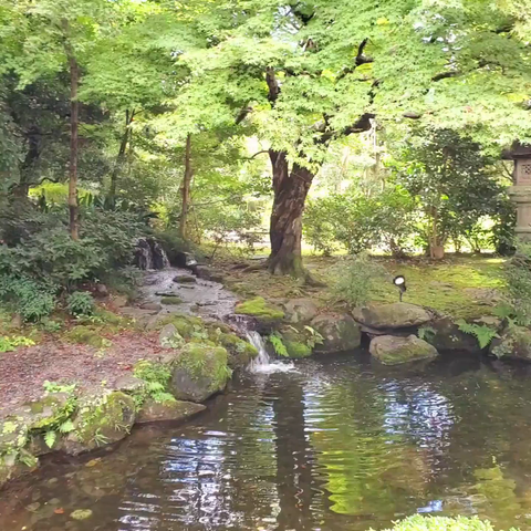 Looking across the grounds of the Shimogamo Villa.
