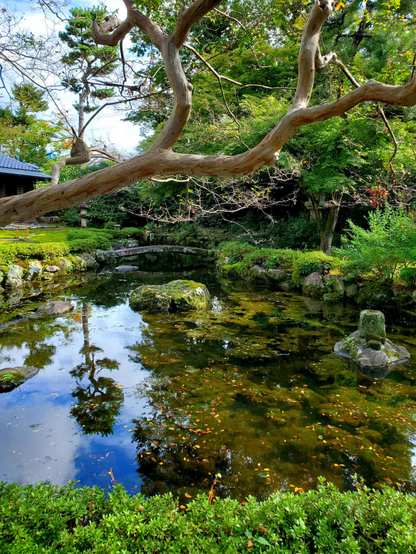 Shimogamo Villa's gourd-shaped pond.