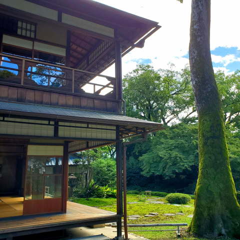 Shimogamo Villa's verdant garden.