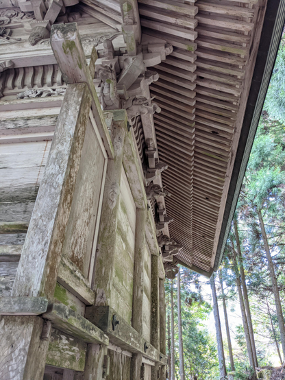 Elaborate carvings on Chii Hachiman-gu's main hall.
