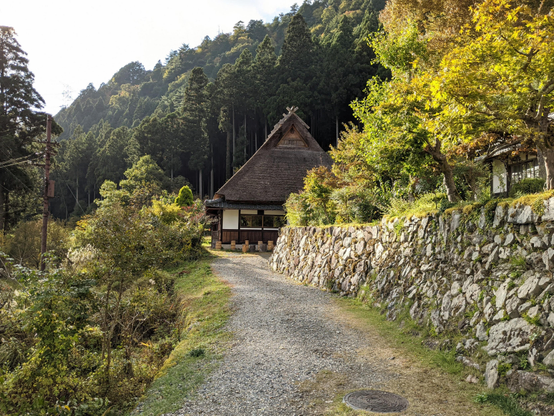 Golden sun bathes Miyama as autumn draws on.