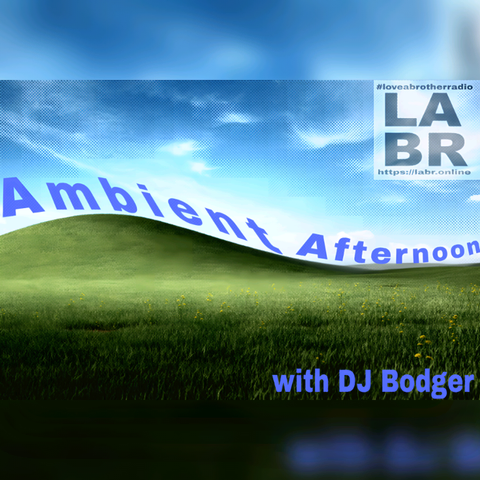 Now playing on LABR: #ambientafternoonwith LIVE with @stevenixon@mastodon.social in now at https://labr.online #labr #loveabrotherradio #communityradio #fediradio #dj #djlife #drumandbass #house  #soulfullhouse #music #radio #podcast 