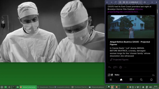 Screenshot of example watch party setup.

Left: Freetube pop-out window showing film.
Right: Zen Browser window using PL-FE to browse Mastodon.