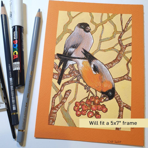 A small colour drawing of two bullfinches, a male and a female, with branches and red rowan berries. The drawing has a warm yellow background.
The rose-red breast, large black cap and thick bill make the bullfinch easy to identify. A plump-looking bird of woodlands, hedgerows and orchards, it also frequents gardens.
An original art work, please note that the frame is not included.
Colour pencil and mixed media on acid free toned artist paper
5 by 7 inches (12.7 by 17.8 cm).