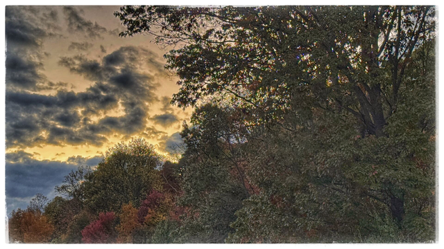 Sunset clouds and trees in Autumn